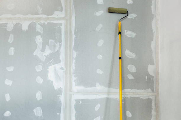 Best Water-Damaged Drywall Repair  in Edgewood, PA